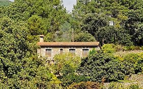 Casa Rural en Candeleda con piscina y un maravilloso jardín